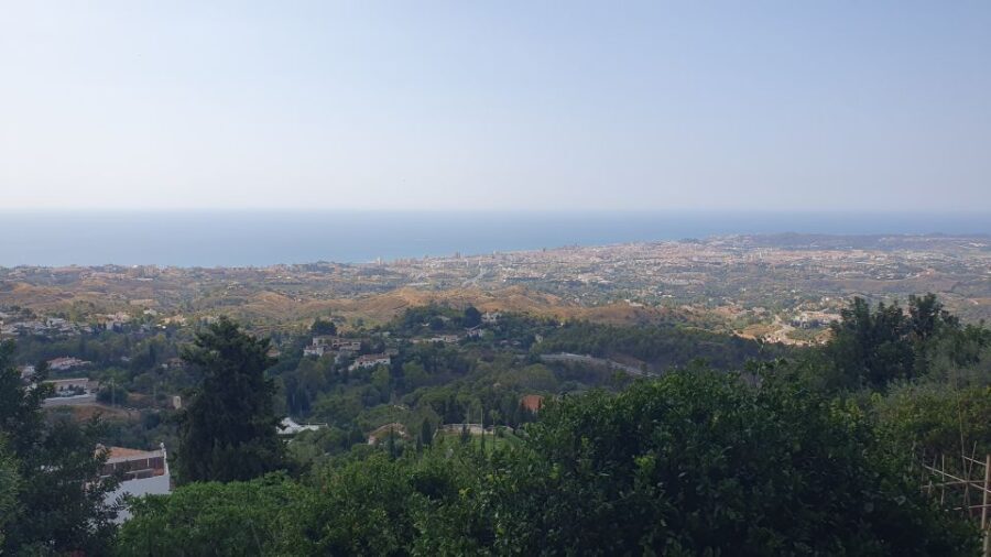 From Málaga: Marbella, Mijas y Puerto Banús Guided Tour - Why This Tour Offers Good Value