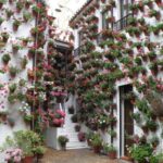 From Malaga: Private day trip to Cordoba, Mosque & Cathedral - Final Thoughts