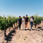 From Málaga: Ronda, Wine & Olive Oil Tasting Small Group - Why This Tour Offers Value