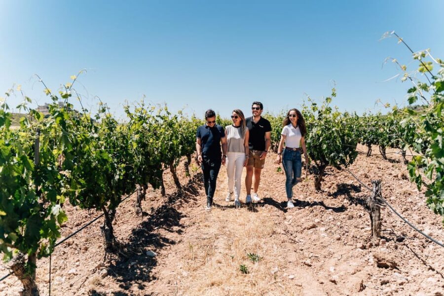 From Málaga: Ronda, Wine & Olive Oil Tasting Small Group - Why This Tour Offers Value