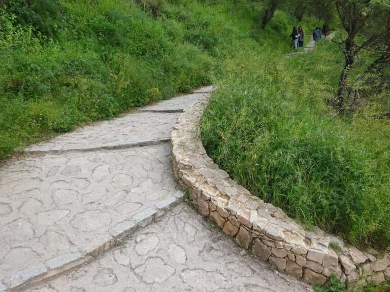 From Malaga: Ronda y Setenil de la Bodegas Day Trip by coach - A Deep Dive Into the Tour Experience