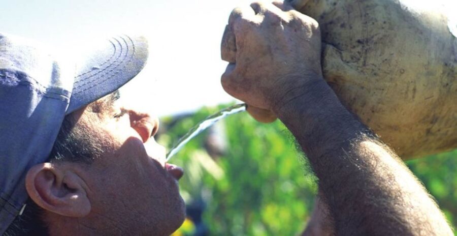 From Marbella: Axarquia Wine Tour with Wine Pairing Lunch - A Closer Look at the Itinerary