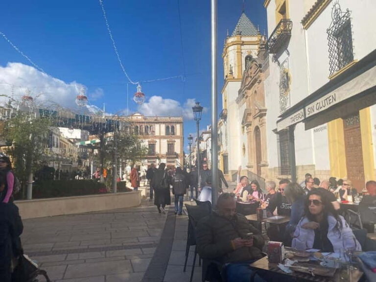 From Marbella: Ronda private tour, transportation, café, bullring, tapas, drinks - The Practical Side: Transport, Price, and Overall Value