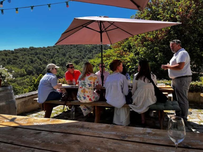 From Marseille: Aix en Provence Wine and Cheese Tour - Overview and Highlights