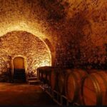 From Marseille : Sidecar Wine Tour to Cassis and Bandol - What’s Included and What You Should Know