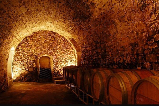 From Marseille : Sidecar Wine Tour to Cassis and Bandol - What’s Included and What You Should Know