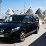 From Matera: tour of Alberobello with private transfer - Who Should Consider This Tour?