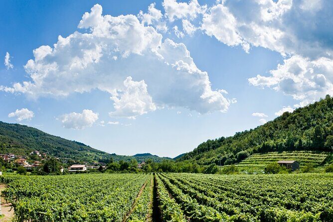 From Milan Full Day in Franciacorta 2 Wineries and Lunch - The Lakeside Lunch Near Lake Iseo