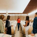 From Milan: Lake Iseo, Bergamo & Franciacorta Wine Tour - Transportation & Comfort