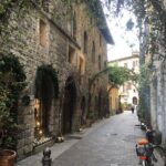 From Milan to Como Bellagio and Lugano: Royal Cruise - Transportation and Logistics