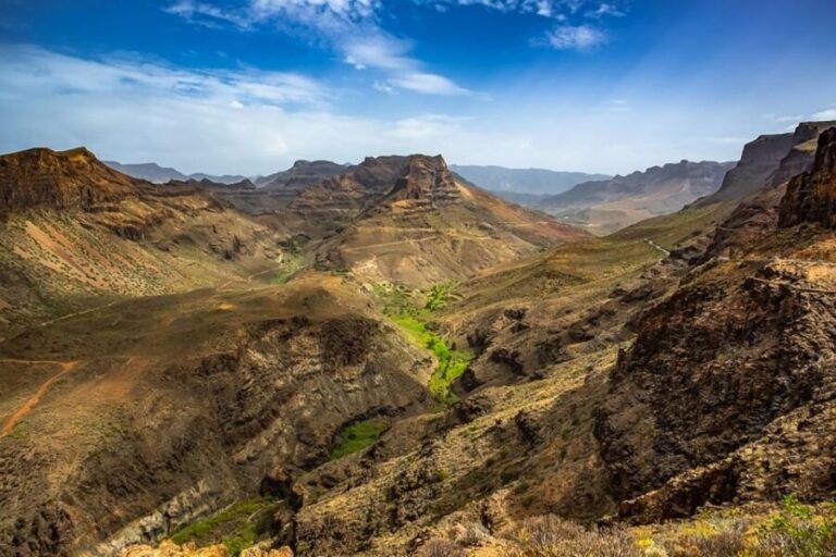 From Mogán/Maspalomas/Arguineguín: Gran Canaria Day Tour - Who Will Love This Tour?
