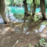 From Mostar: Half-Day Trip to the Kravica Waterfall - Practical Details and Tips