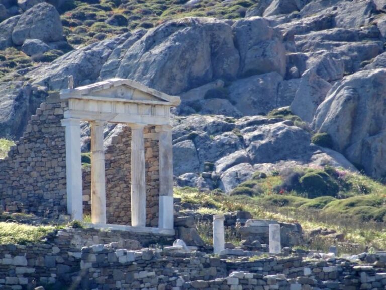 From Mykonos: Ancient Delos Tour - The Value of the Experience