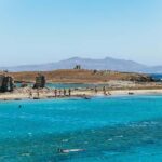 From Mykonos: Cruise to Delos and Rhenia with Lunch - An In-Depth Look at the Experience