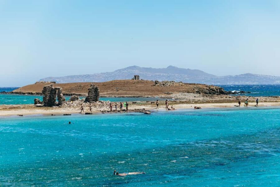 From Mykonos: Cruise to Delos and Rhenia with Lunch - An In-Depth Look at the Experience