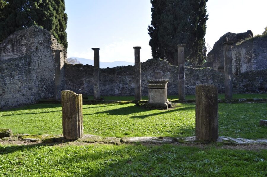 From Naples or Pompeii: Pompeii Skip-the-Line Entry and Tour - Who Would Love This Tour?