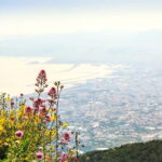 From Naples or Pompeii: Vesuvius Easy Tour - Who Will Love This Tour?