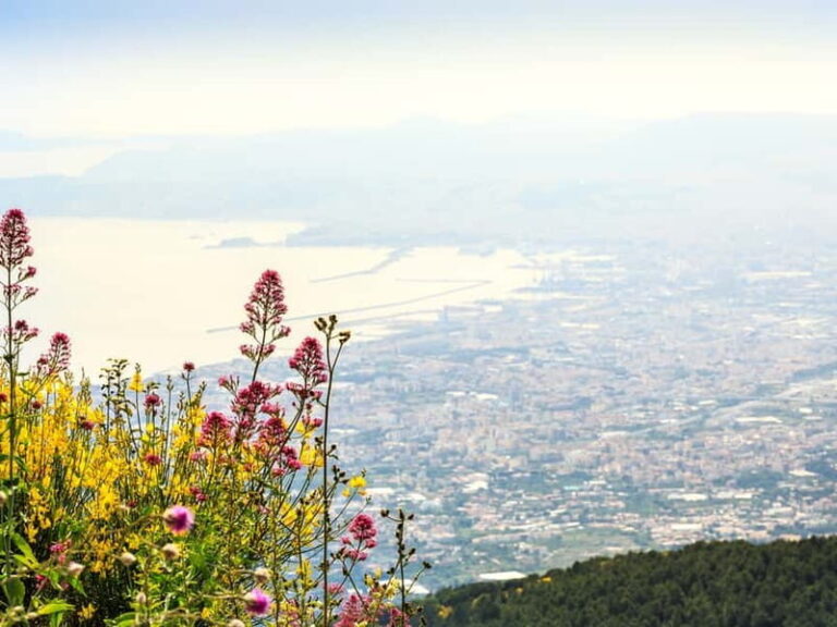 From Naples or Pompeii: Vesuvius Easy Tour - Who Will Love This Tour?