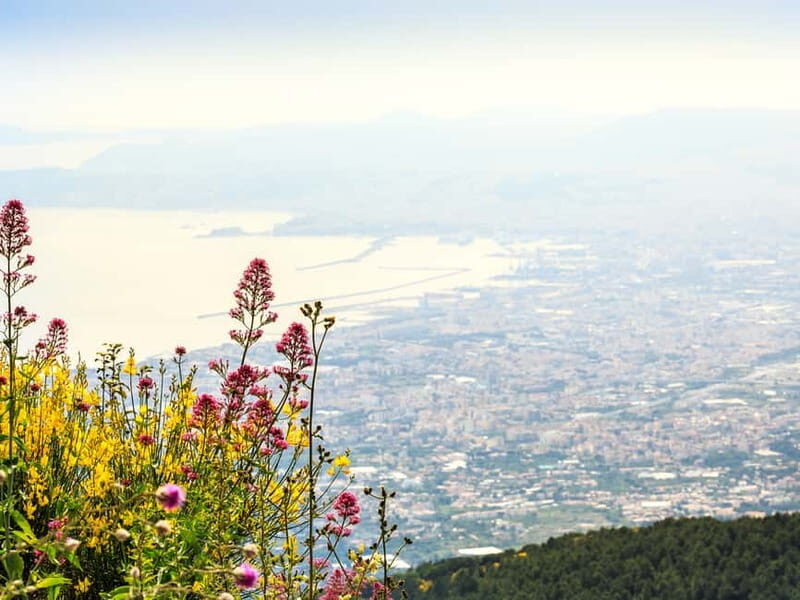 From Naples or Pompeii: Vesuvius Easy Tour - Who Will Love This Tour?
