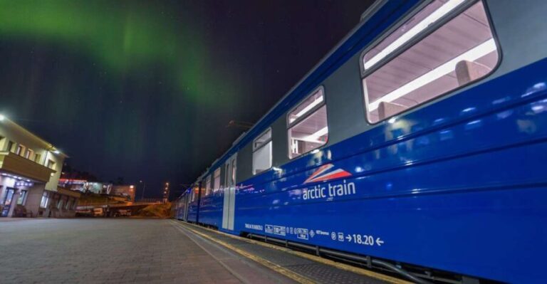 From Narvik: The Northern Lights Arctic Train Guided Tour - Practical Considerations and Tips