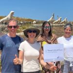 From Naxos: Delos and Mykonos Day Trip with Licensed Guide - What’s Included, What’s Not