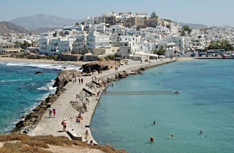 From Naxos: Mykonos Full-Day Trip - The Return Journey