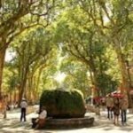 From Nice: Full-Day Provence and Lavender Tour - The Practical Side: What Works Well