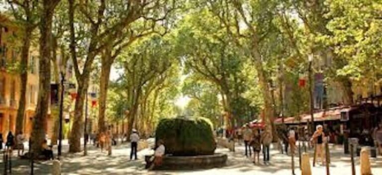 From Nice: Full-Day Provence and Lavender Tour - The Practical Side: What Works Well