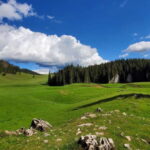 From Oradea: Apuseni Mountains Guided Hiking Tour - Why This Tour Works