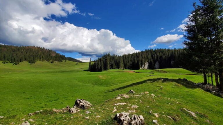 From Oradea: Apuseni Mountains Guided Hiking Tour - Why This Tour Works