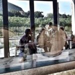 From Padua: Olive Oil & Wine in the Euganean Hills - Why Travelers Love It