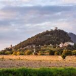 From Padua: Tour to the walled town of Monselice - The Olive Oil Mill Experience