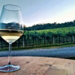 From Padua, Wine Tour in the Euganean Hills - FAQ
