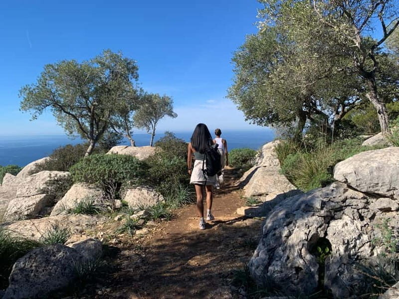 From Palma: Valldemossa Tour and Mountain Viewpoint Hike - Transportation, Timing, and Group Size: Why They Matter