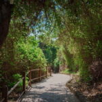 From Paphos: Blue Lagoon and Baths of Aphrodite Day Trip - What Makes This Tour Stand Out