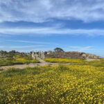From Paphos: Famagusta, Salamis, and Varosha Walking Tour - A Deep Dive into the Tour Experience