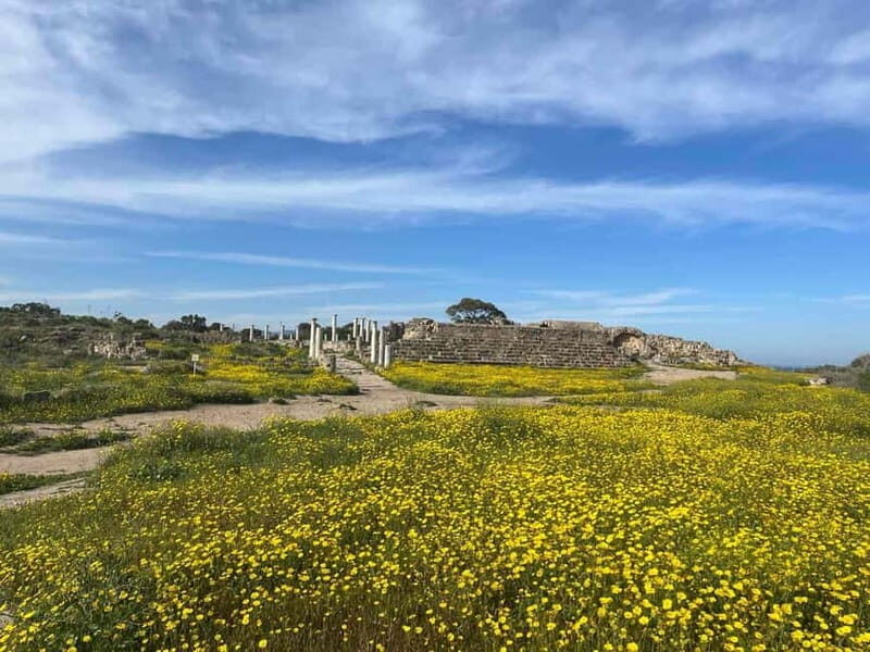 From Paphos: Famagusta, Salamis, and Varosha Walking Tour - A Deep Dive into the Tour Experience