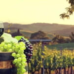 From Paphos: Taste of Cyprus (Private) - Authenticity and Value