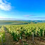 From Paris: Champagne, gastronomy and culture - What’s Included and Why It Matters