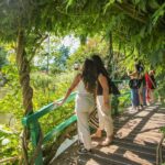 From Paris: Giverny Audio-Guided Tour - Final Thoughts: Is It Worth It?