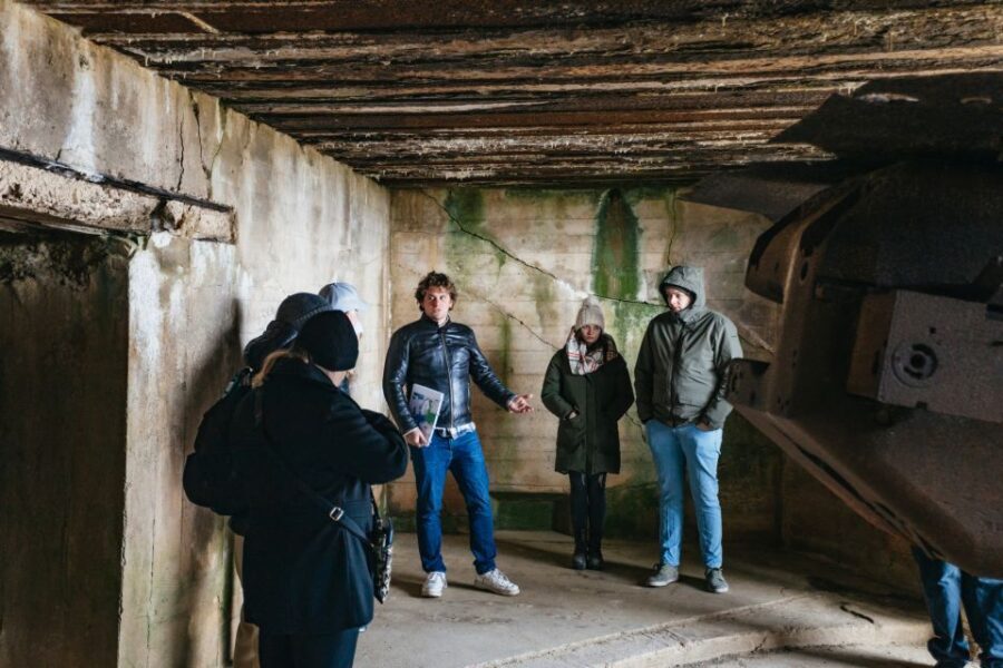 From Paris: Normandy D-Day Landing Beaches Full-Day Tour - What Our Reviews Tell Us