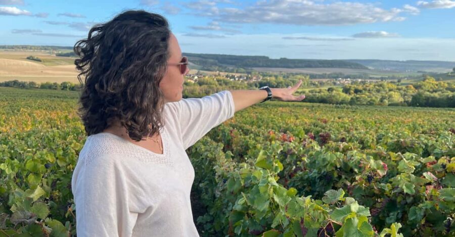 From Paris: Wine Day trip to SANCERRE w 10 Tastings & Lunch - Practical Details: What to Expect and Tips