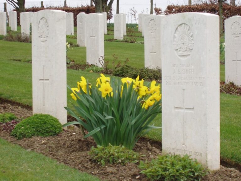 From Paris: WWI Somme Battlefields Full-Day Tour - Taking the Price into Account