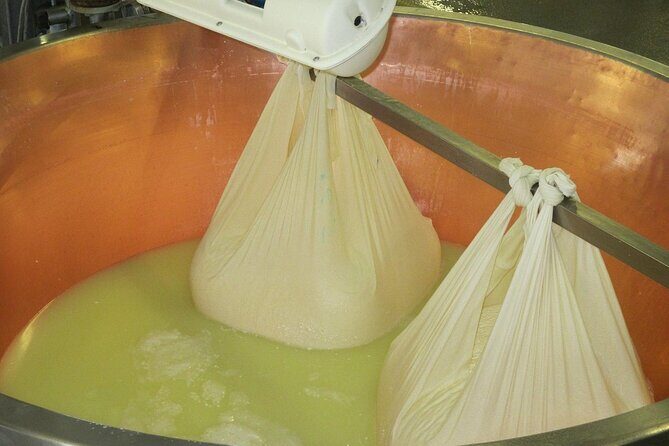 From Parma: Parmigiano,Prosciutto and winery Tour and tasting - Who Should Consider This Tour?