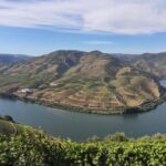 From Pinhão: Douro Valley Tour w/ Wine Tasting and Boat Trip - Practical Considerations