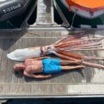 From Playa San Juan: Whale Watching, Gigantes, and Masca Bay - FAQ