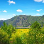 From Pompeii: Mount Vesuvius Hike & Tour by Bus - Authentic Insights from Reviewers