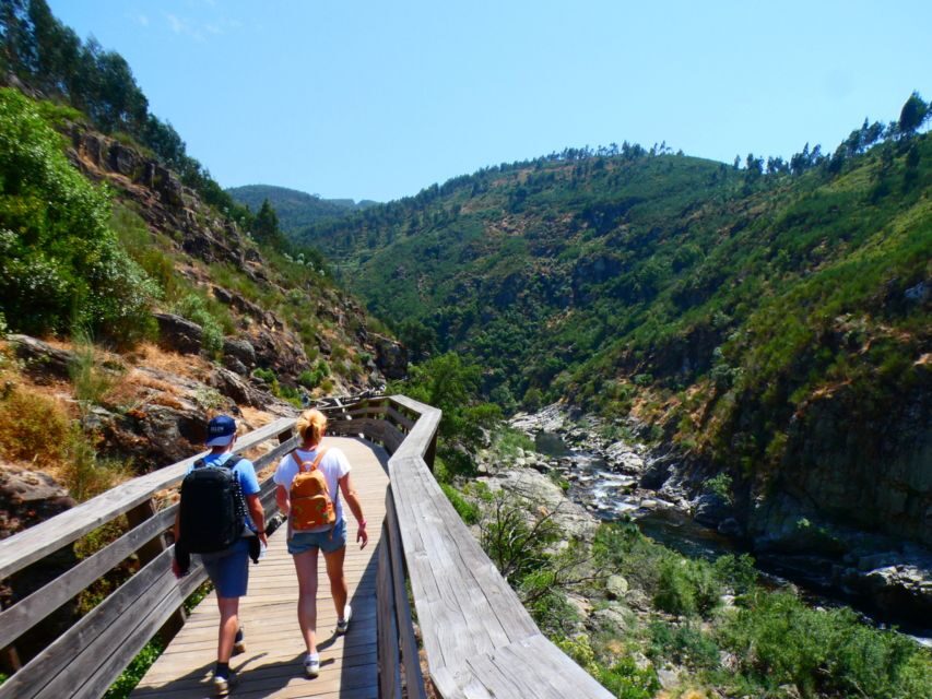 From Porto: 516 Arouca Bridge and Paiva Walkways Guided Tour - Exploring the Paiva Walkways