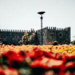 From Porto: Braga and Guimarães Full Day Tour with Lunch - Who Would Love This Tour?