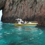 From Porto: Calanche de Piana and Capo Rosso Boat Tour - What Makes This Tour Stand Out?